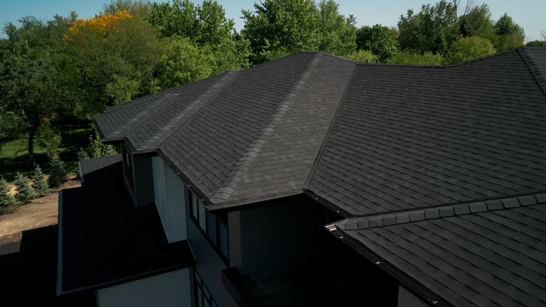 Best Skylights  in Bridgman, MI