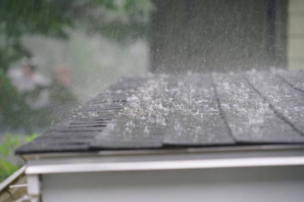Best Storm Damage Roof Repair  in Bridgman, MI